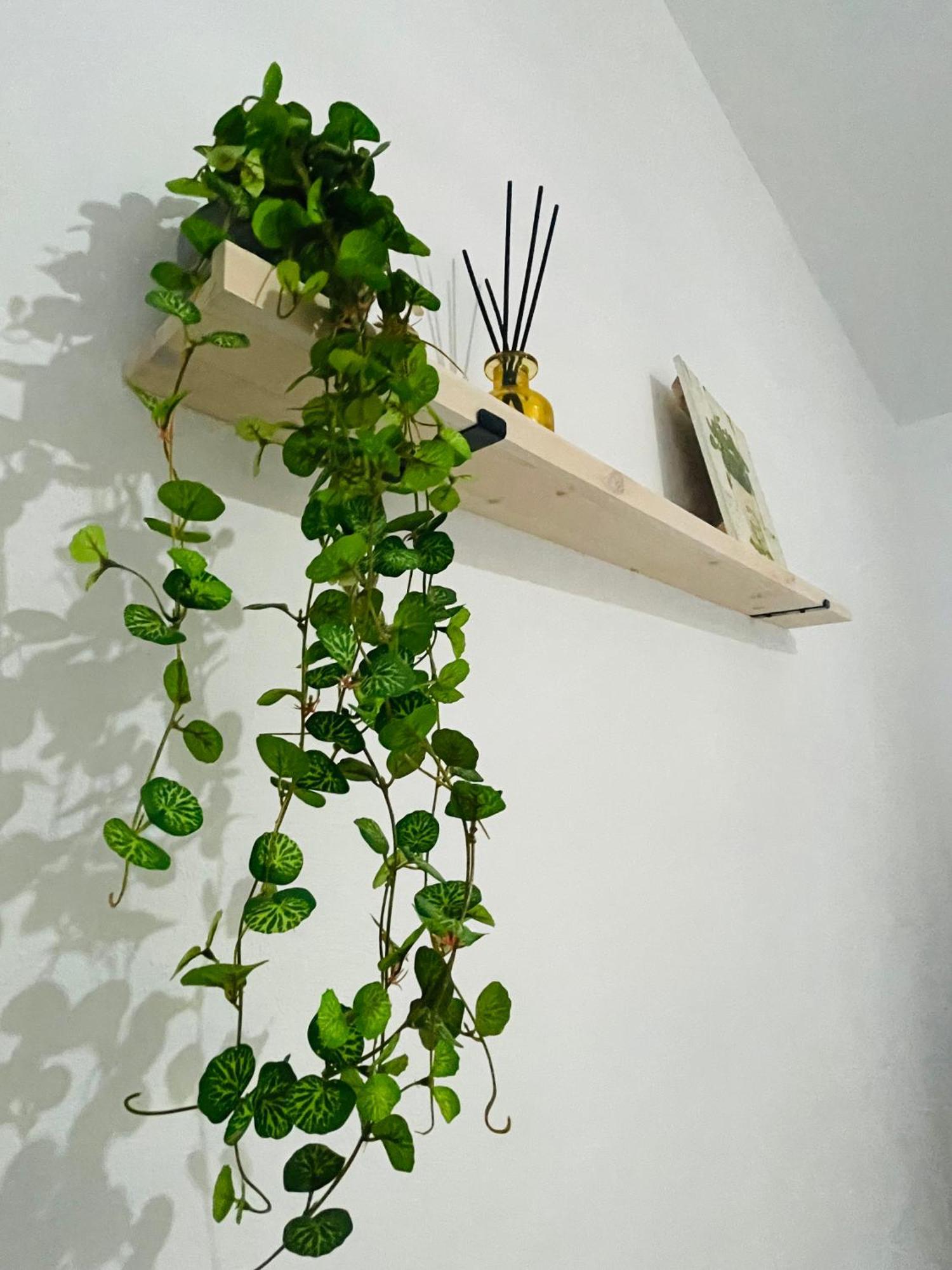 Casa Rural Berta El Picazo Dış mekan fotoğraf