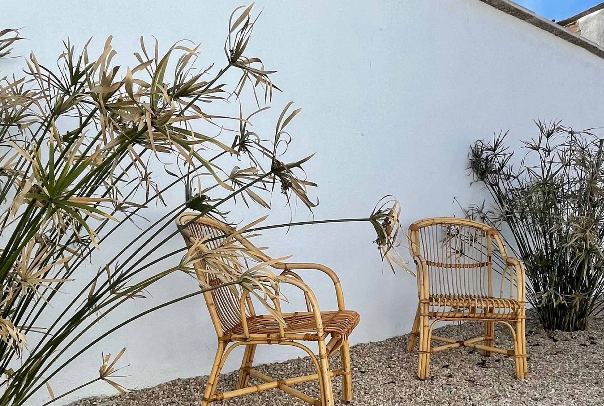 Casa Rural Berta El Picazo Dış mekan fotoğraf